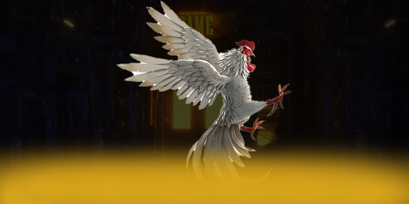 CONGA6789 - Thương hiệu uy tín hiện nay – Tìm hiểu CONGA6789 CONGA6789 - Thương hiệu uy tín hiện nay – Tìm hiểu CONGA6789