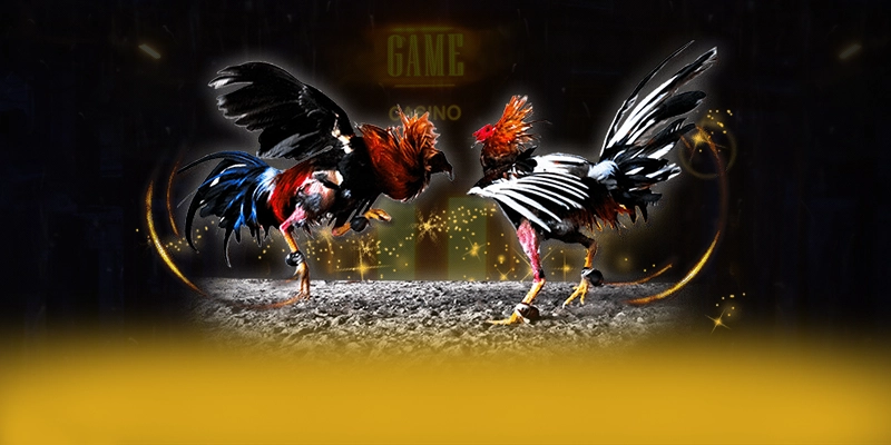 CONGA6789 - Thương hiệu được cộng đồng yêu thích nhất được đánh giá cao – Khám phá thế giới giải trí tại CONGA6789 CONGA6789 - Thương hiệu được cộng đồng yêu thích nhất được đánh giá cao – Khám phá thế giới giải trí tại CONGA6789