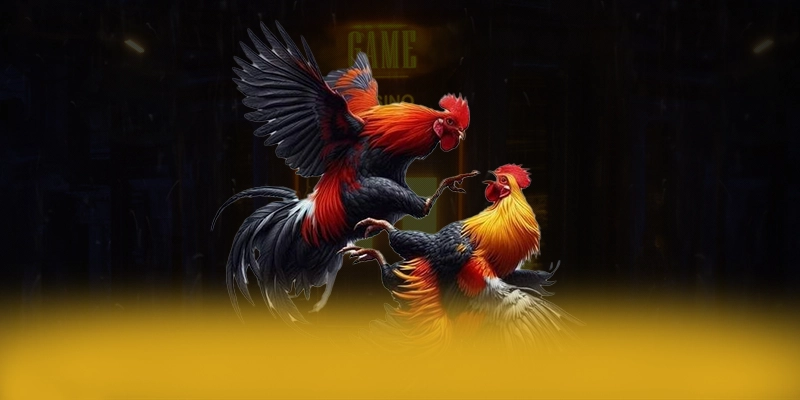 W88 - Sảnh game mượt mà đang làm mưa làm gió W88 - Sảnh game mượt mà đang làm mưa làm gió