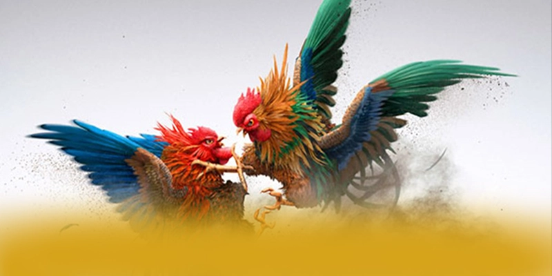 tỷ lệ kèo bóng đá - Kết luận tổng thể về nền tảng này dưới góc nhìn chuyên môn. tỷ lệ kèo bóng đá - Kết luận tổng thể về nền tảng này dưới góc nhìn chuyên môn.