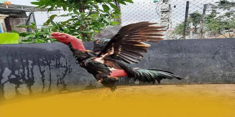 W88 - Sân chơi sở hữu kho game phong phú đang làm mưa làm gió trên thị trường – Trải nghiệm W88 W88 - Sân chơi sở hữu kho game phong phú đang làm mưa làm gió trên thị trường – Trải nghiệm W88