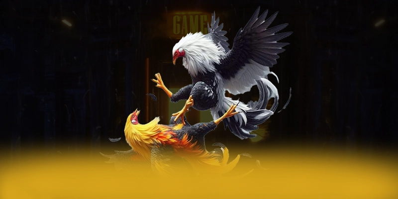 GO8 - Tóm tắt nội dung từ trải nghiệm thực tế. GO8 - Tóm tắt nội dung từ trải nghiệm thực tế.